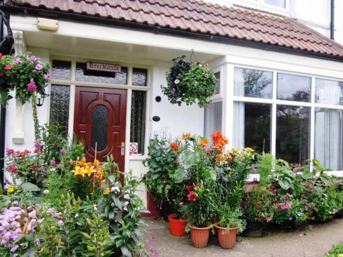 Beechlands B & B Sleights Zewnętrze zdjęcie