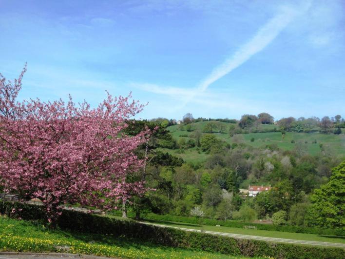Beechlands B & B Sleights Zewnętrze zdjęcie
