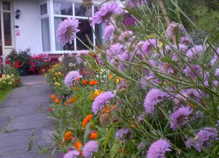 Beechlands B & B Sleights Zewnętrze zdjęcie